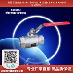 密封焊接FNPT球阀6000PSI
