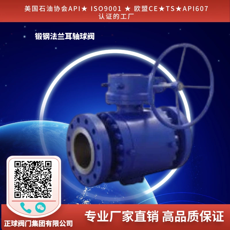 锻钢法兰固定球阀