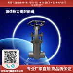 锻造压力密封闸阀