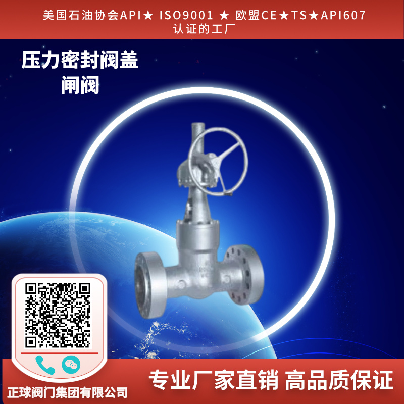 压力密封阀盖闸阀