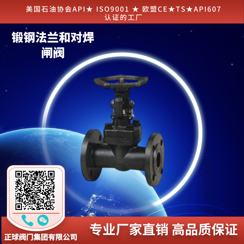 锻钢法兰和对焊闸阀