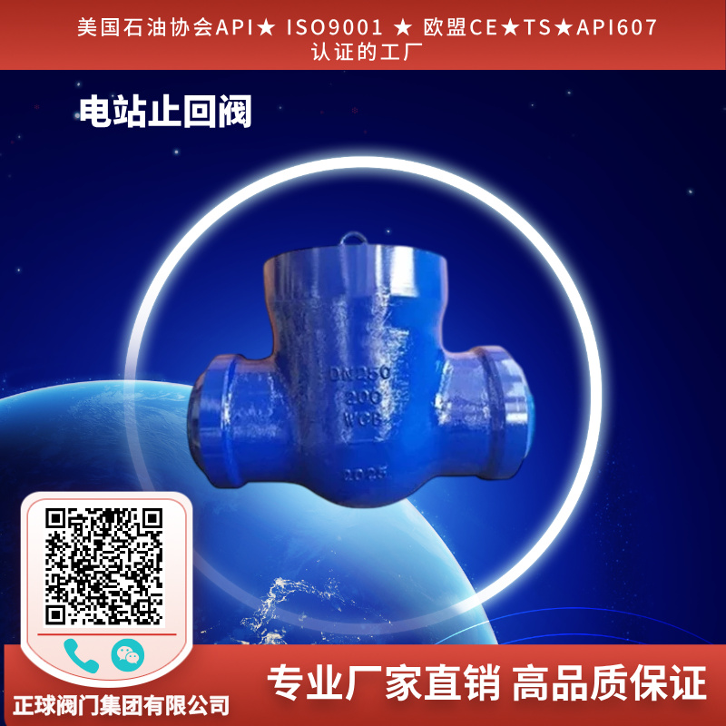 电站止回阀