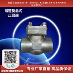 锻造旋启式止回阀