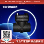 锻造活塞止回阀