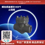 螺栓阀盖螺纹 BSPT 止回阀