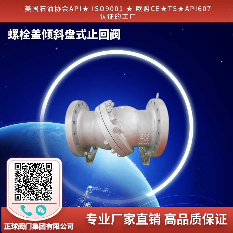 螺栓盖倾斜盘式止回阀